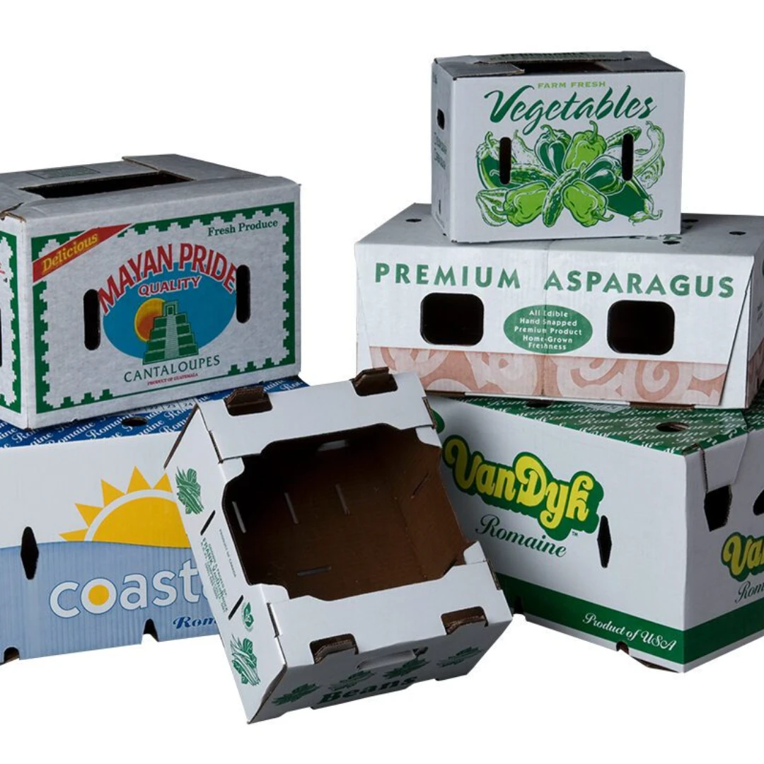 Packaging For Food