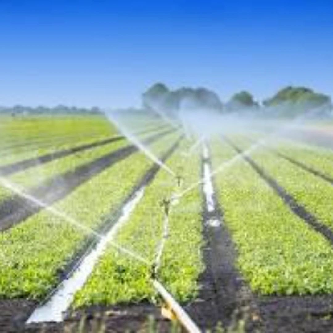 Sprinkler System
