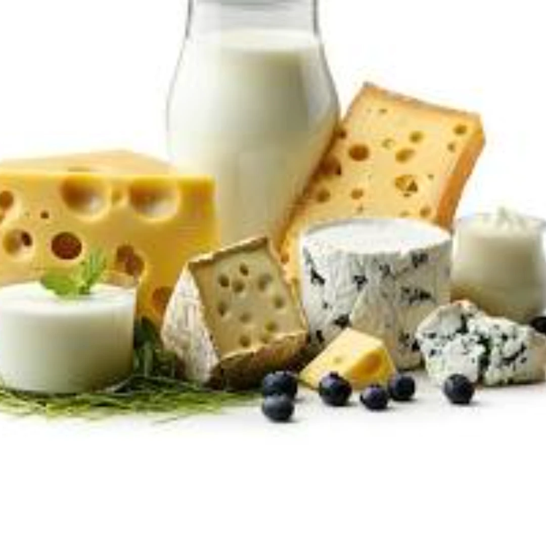 Dairy Products