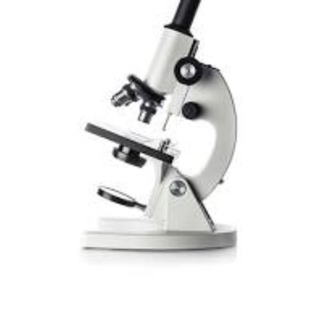 Microscope